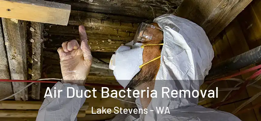 Air Duct Bacteria Removal Lake Stevens - WA