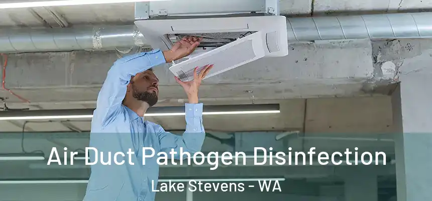 Air Duct Pathogen Disinfection Lake Stevens - WA