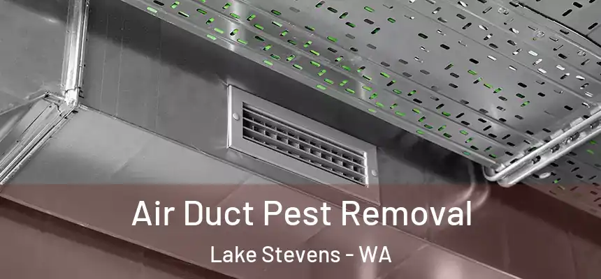  Air Duct Pest Removal Lake Stevens - WA