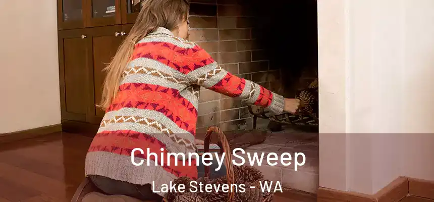  Chimney Sweep Lake Stevens - WA
