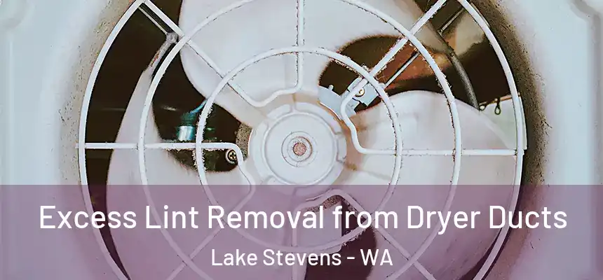 Excess Lint Removal from Dryer Ducts Lake Stevens - WA