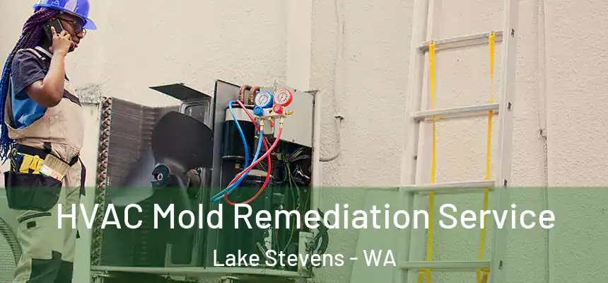 HVAC Mold Remediation Service Lake Stevens - WA
