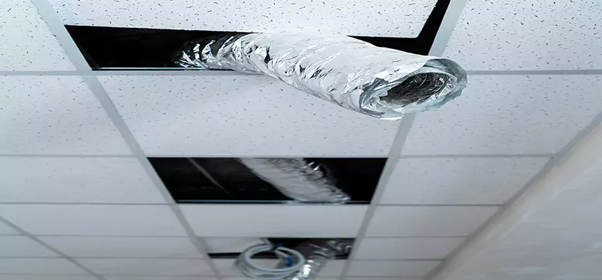 Affordable HVAC Sanitizing After Pest Removal in Lake Stevens