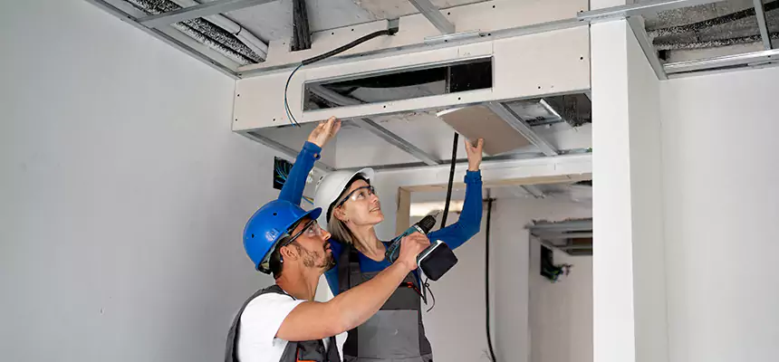 Our Air Duct Virus Disinfection Services in Lake Stevens, WA