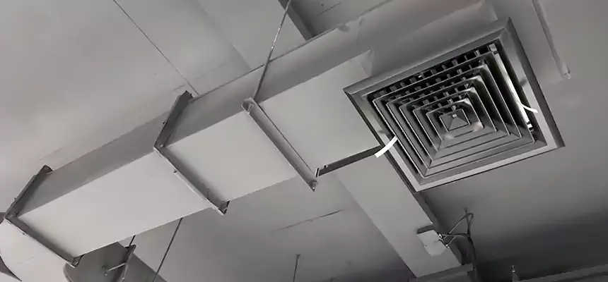 Restorative Allergy Relief Vent Cleaning – Coil, Blower & Housing Detail in Lake Stevens