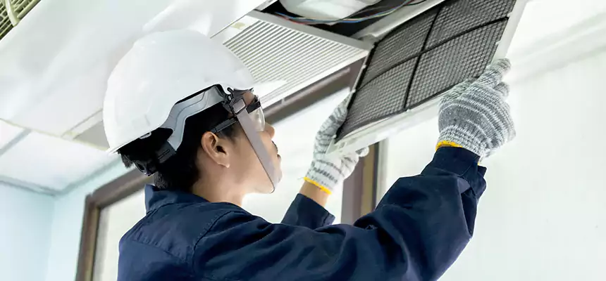 Our Mold & Mildew Removal from Air Ducts Services in Lake Stevens, WA