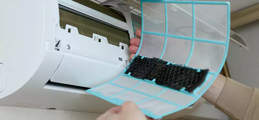 Gentle Ductwork Odor-Control Pet Dander Duct Cleaning in Lake Stevens, WA