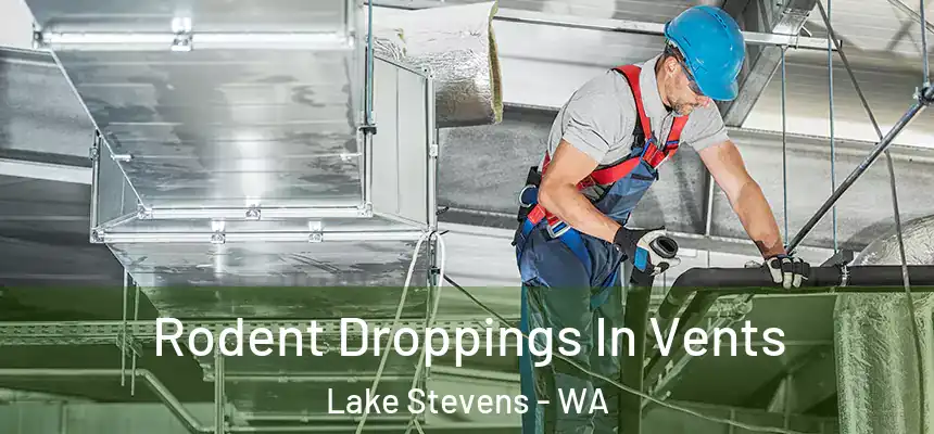  Rodent Droppings In Vents Lake Stevens - WA