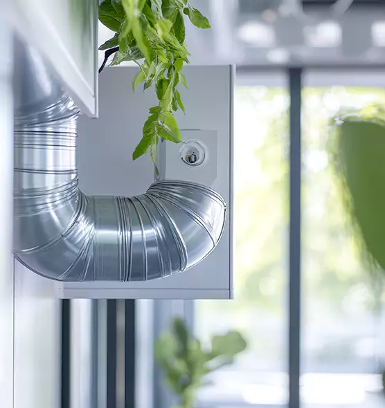 Professional Eco-Friendly Duct Cleaning Services in Lake Stevens, WA