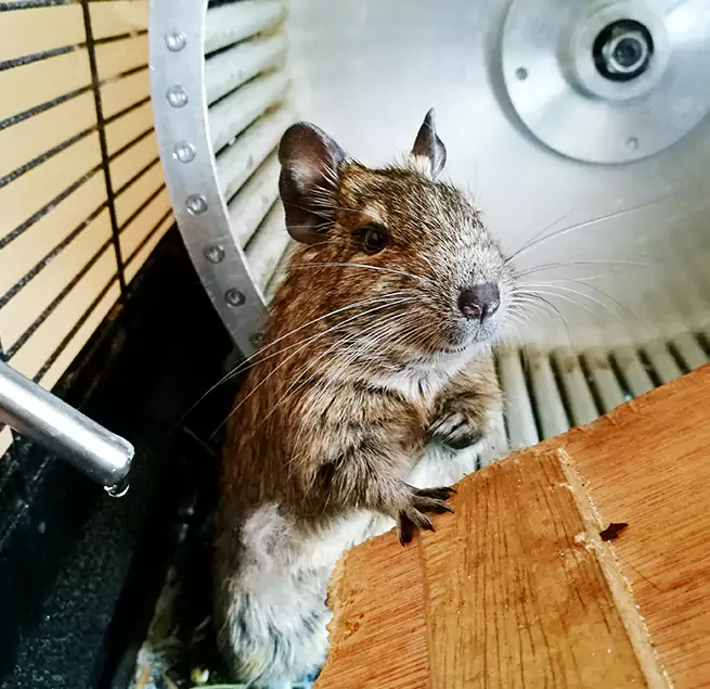 Why Homeowners & Businesses Trust Us Lake Stevens, WA