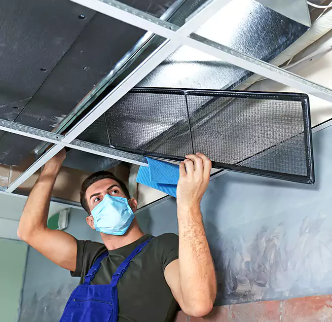 Why Homeowners Businesses Trust Us in Lake Stevens, WA