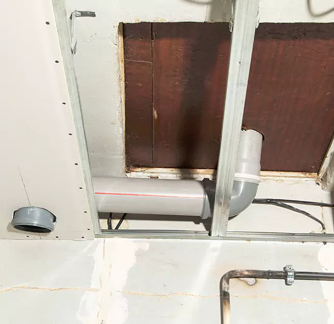 Why Homeowners & Businesses Trust Us in Lake Stevens, WA?