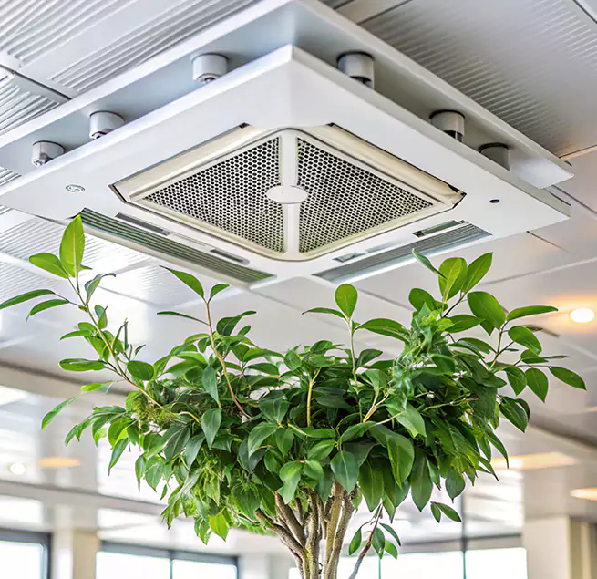 Why Homeowners & Businesses Trust Us in Lake Stevens, WA