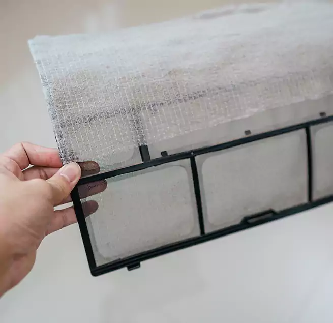 Why Homeowners & Businesses Trust Us in Lake Stevens, WA?