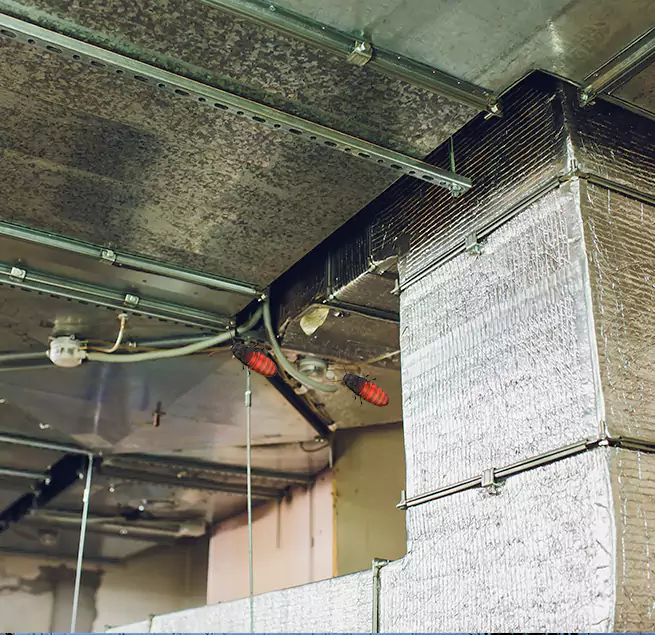 Why Homeowners & Businesses Trust Us Lake Stevens, WA?